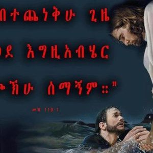 Meet your Posher, Samri